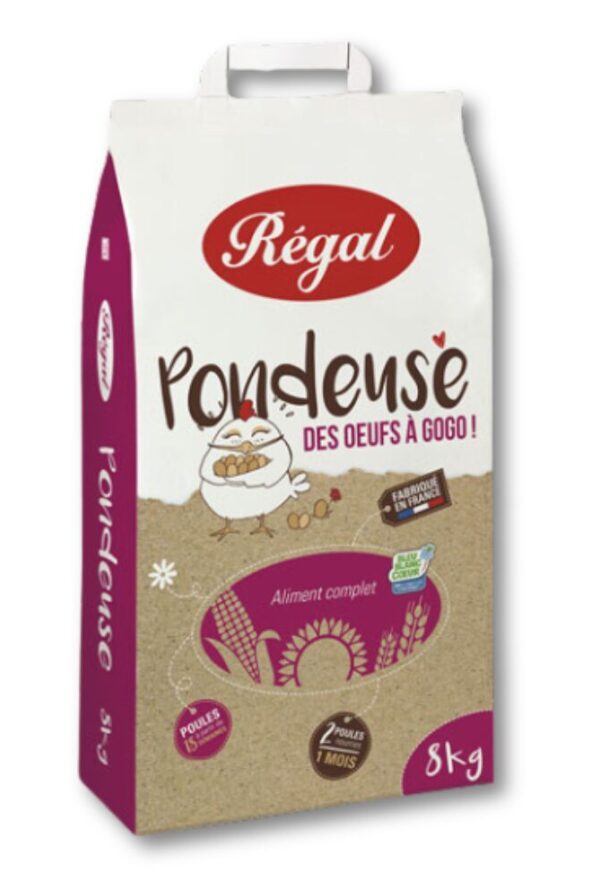 PONDEUSE REGAL 8KG