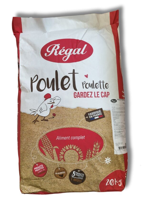 POULET POULETTE REGAL 20KG